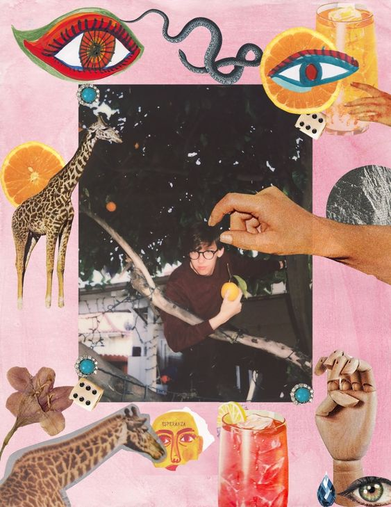 Collage image from Rookie Mag