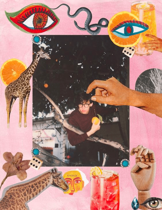 Collage image from Rookie Mag
